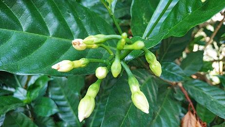 独立游戏《黏液》开场15分钟演示