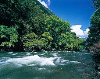 《地狱潜者2》大火 Steam玩家峰值数超《给他爱5》