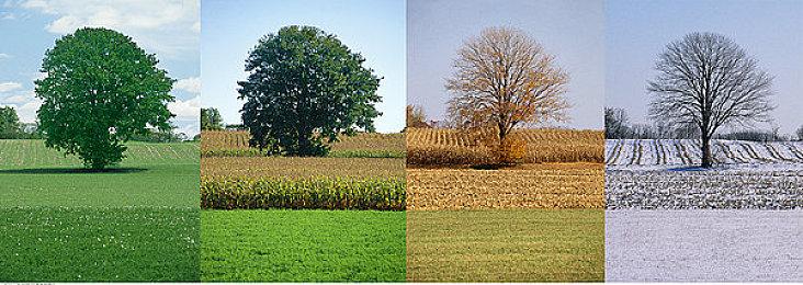 Epic喜加一：《致命躯壳》免费领取